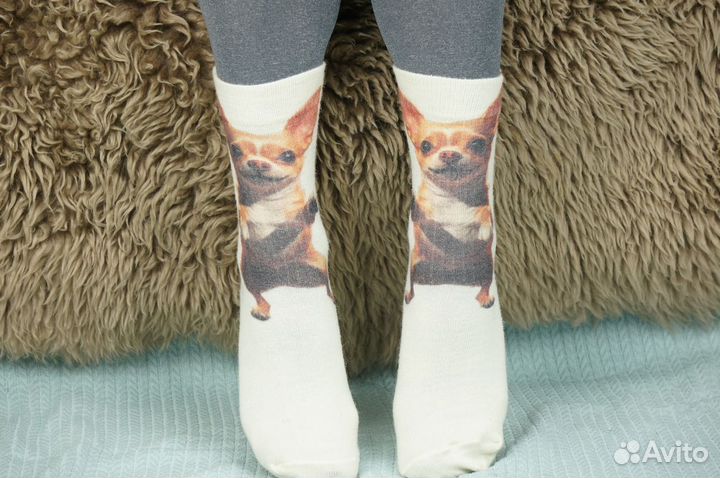 Шерстяные носки с принтом Серия собаки. Чихуахуа