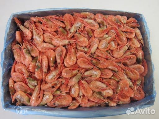 Рыба и Морепродукты