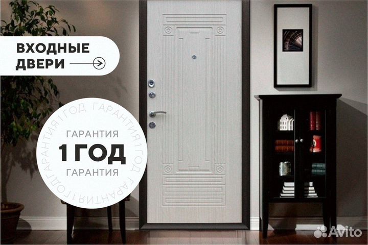 Дверь входная аргус