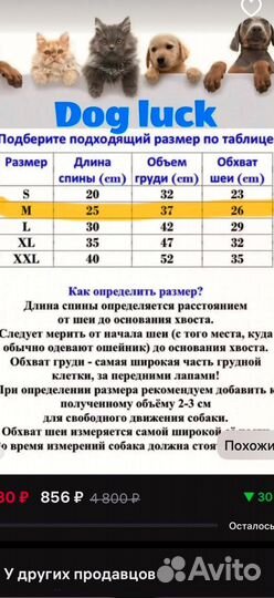 Одежда для маленьких собак