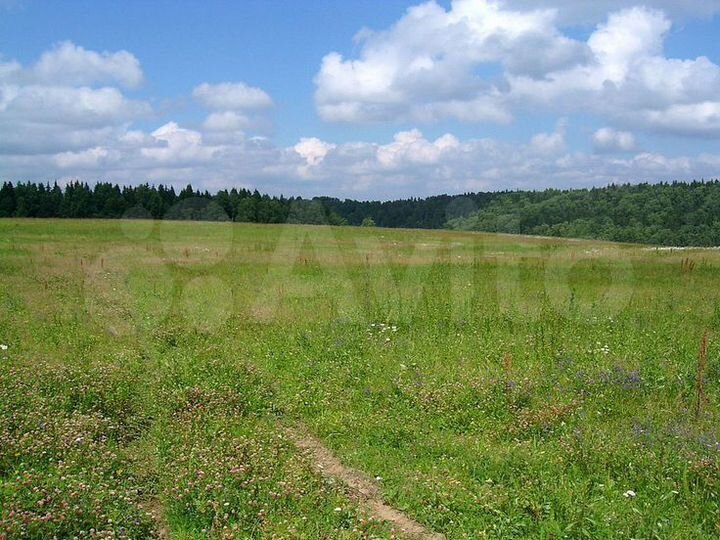 Участок 3,7 га (СНТ, ДНП)