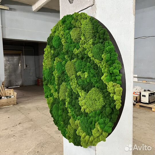 Круг панно из мха