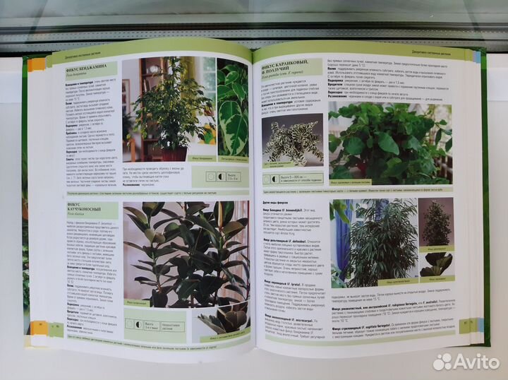 Книга Комнатные растения
