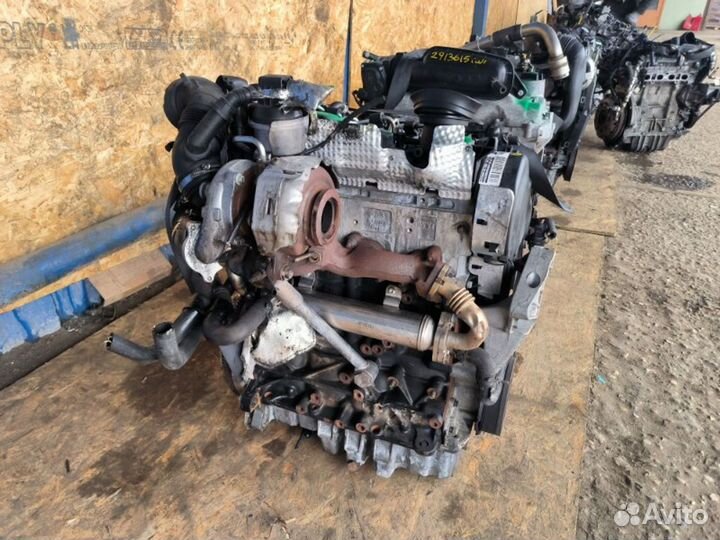 Двигатель Volkswagen Golf 6 cbdc