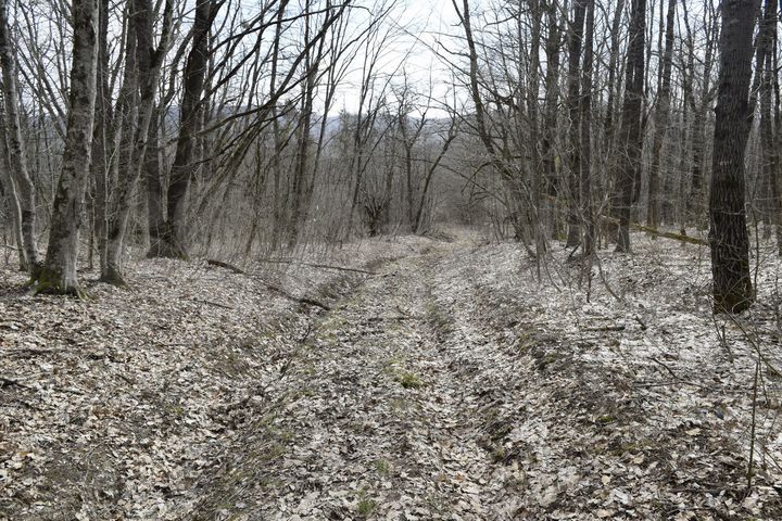 Участок 41 га (СНТ, ДНП)