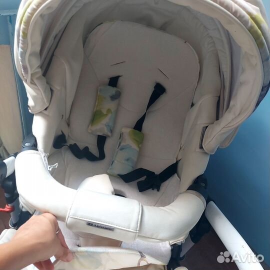 Коляска 2 в 1 adamex