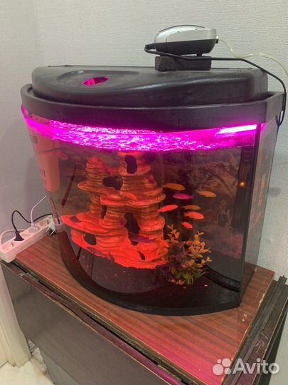 Аквариум