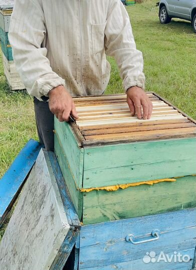 Мед натуральный, домашний