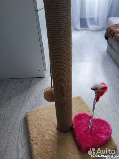 Когтеточка