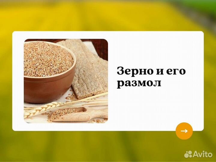 Пшеница Зерно (кг)