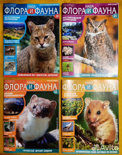 Наша флора и фауна