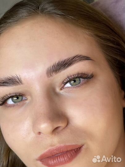 Администратор бровист