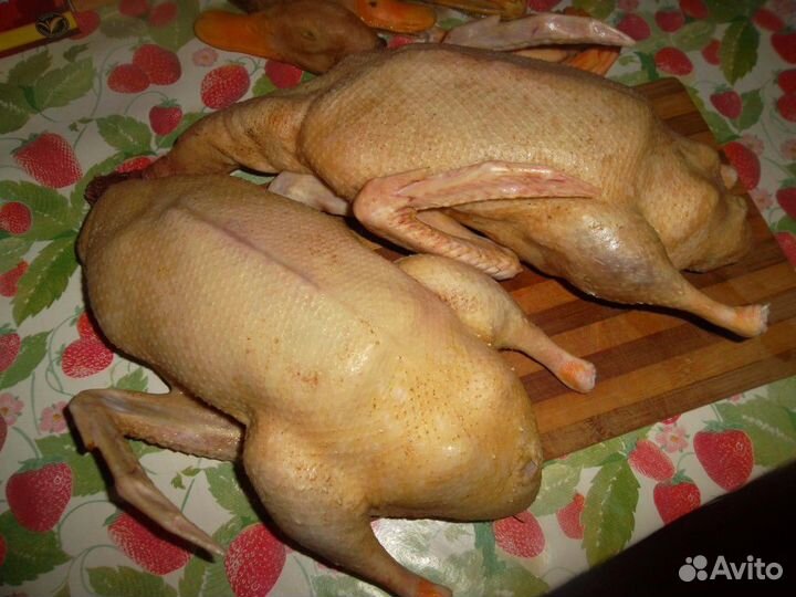 Мясо домашней птицы : утки,гуси,куры, петухи