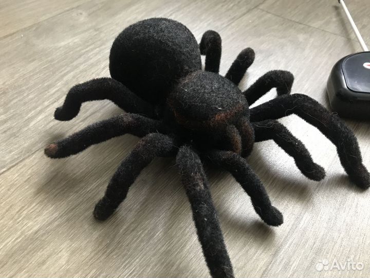 Радиоуправляемый паук