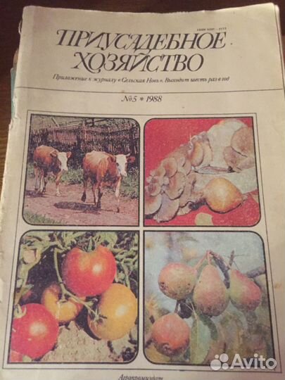 Журналы Приусадебное хозяйство 89г