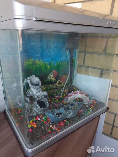 Аквариум