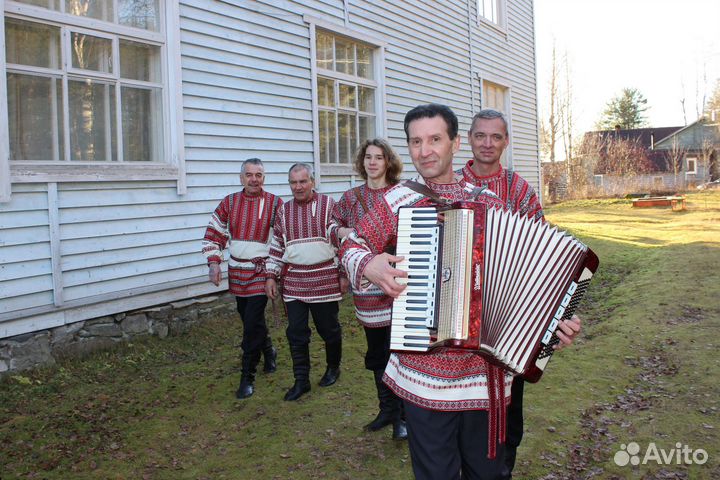 Аккордеонист, баянист, гармонист, живая музыка