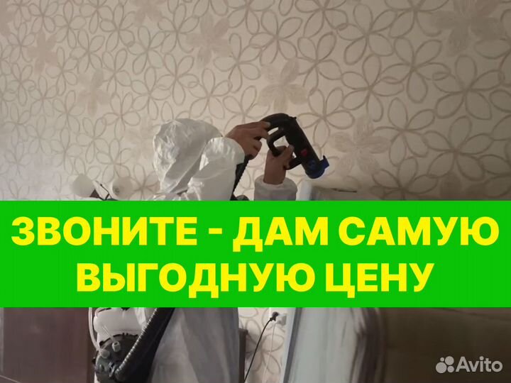 Уничтожение Клопы Тараканы Крыс Запах Дезинфекция