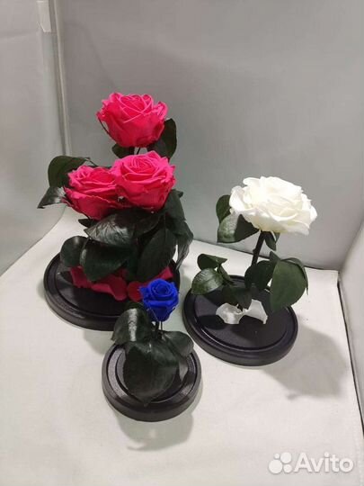 Роза в колбе оптом и в розницу