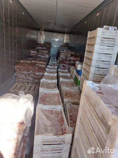 Фарши для собак