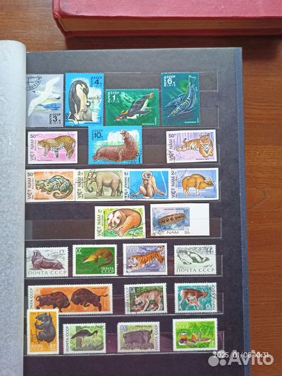 Почтовые марки времен СССР