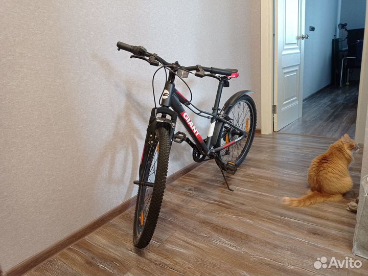 Велосипед Giant XTC jr 24