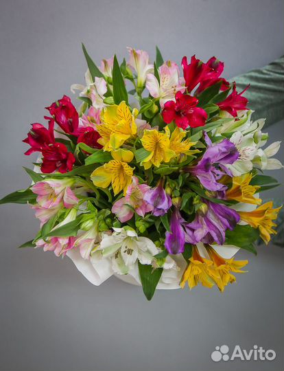 Букет из 9 альстромерий в шляпной коробке, цветы д