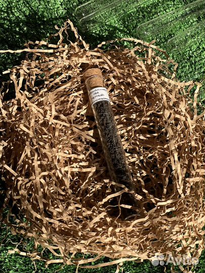 Элитный чай в пробирках: подарок с характером