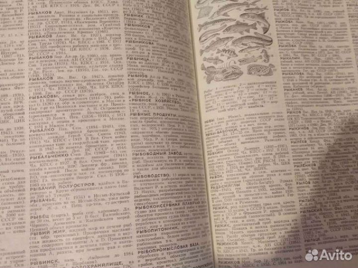 Советский энциклопедический словарь 1988