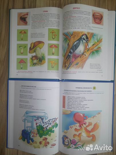 Логопедический учебник