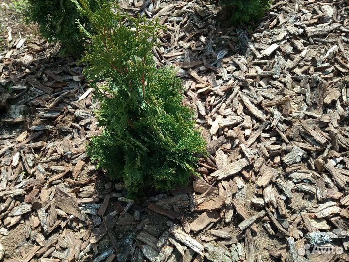 Для дома и дачи дубовая кора