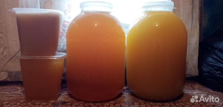 Мед 3л Перга