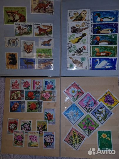 Коллекция почтовых марок