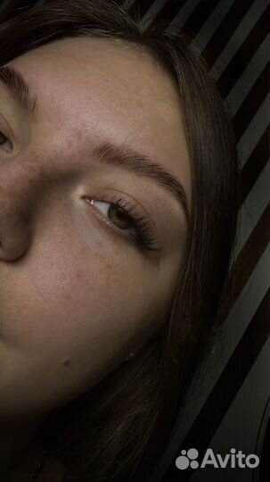 Обучение профессии Бровист