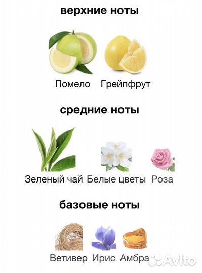 Парфюмерная вода Gritti - Pomelo Sorrento (распив)