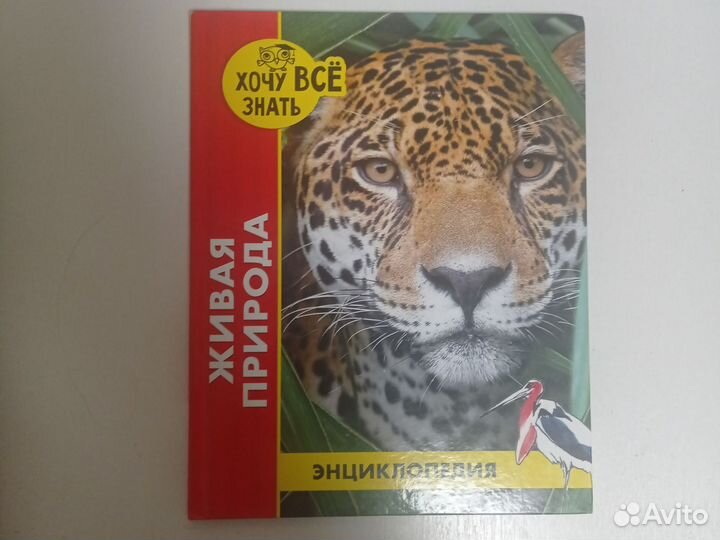 Детская энциклопедия