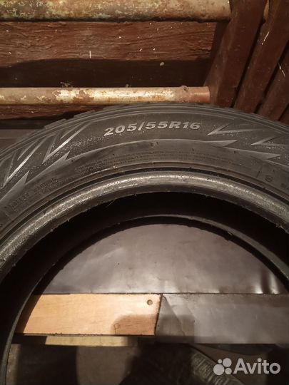 Debica Frigo Directional 205/55 R16 и 205/55 R16