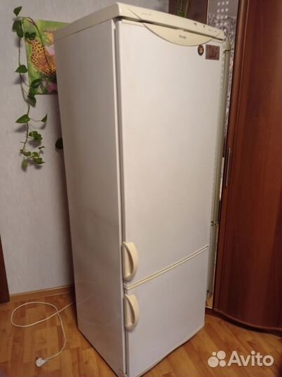 Холодильник snaige rf315-1503a