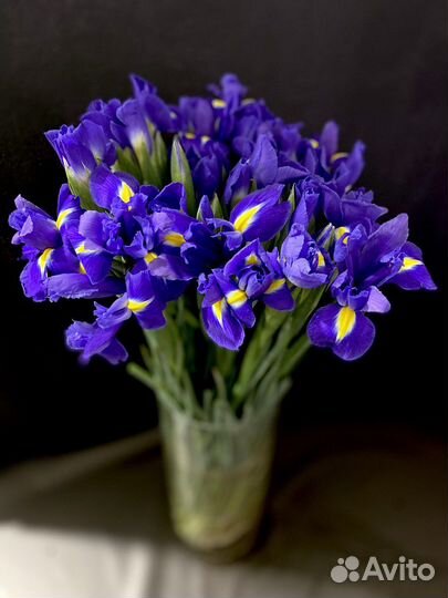 Ирисы