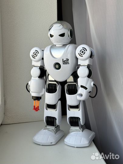 Робот радиоуправляемый Пультовод