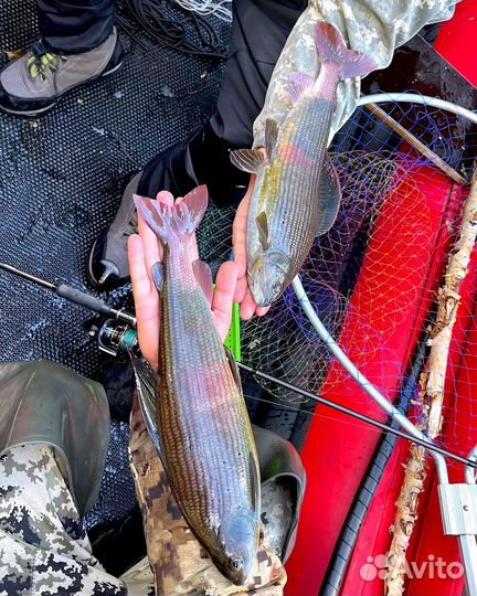 Рыбалка в Красноярской тайге