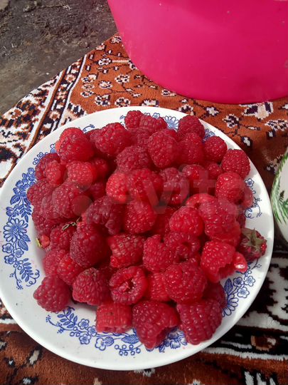 Дача 21 м² на участке 6 сот.