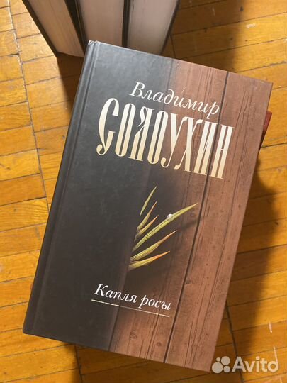 Владимир Солоухин