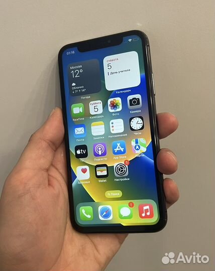 iPhone X, 256 ГБ