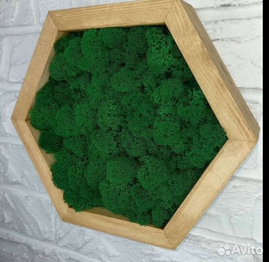 Полки со мхом/ декорация настенная