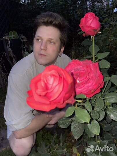 Графический дизайнер