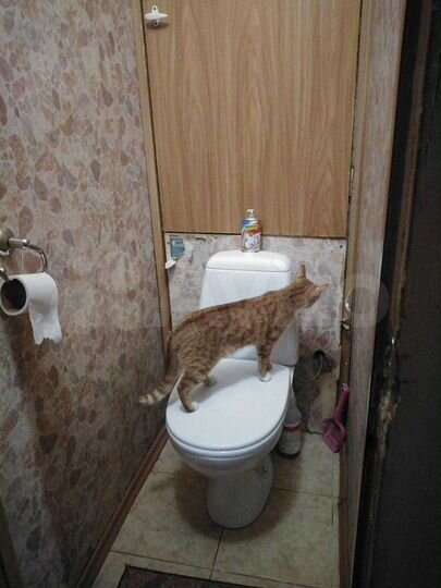 Комната 18 м² в 2-к., 8/9 эт.