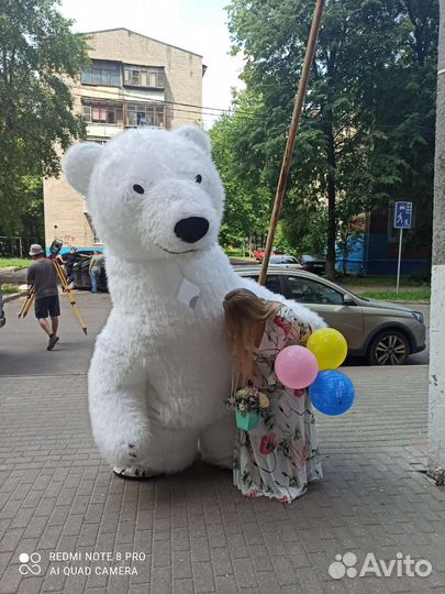 Поздравление медведя с днём рождения