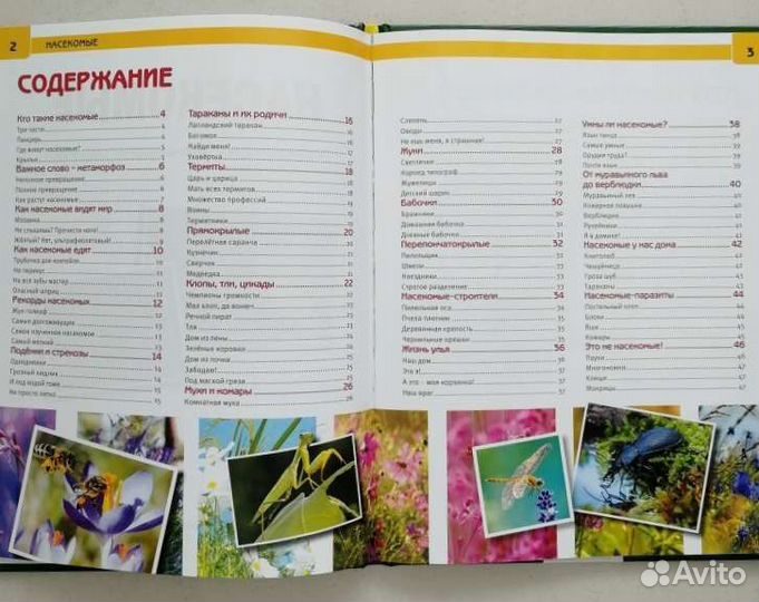 Насекомые. Энциклопедия с развивающими заданиями