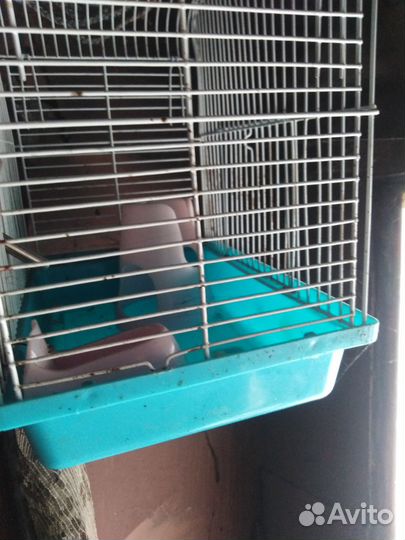Клетка для птиц и грызунов